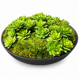 Moss and Succulent Small Black Siwa Bowl Arrangement
