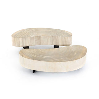 Bean Shape Coffee Table