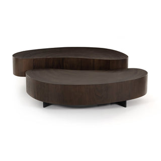 Bean Shape Coffee Table