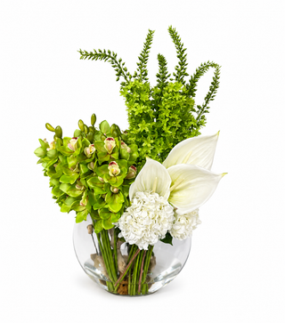 Cymbidium and Foxtail in Large Oval Glass Vase
