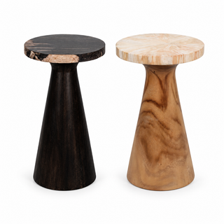 Kayu Petrified Wood Pedestal Table