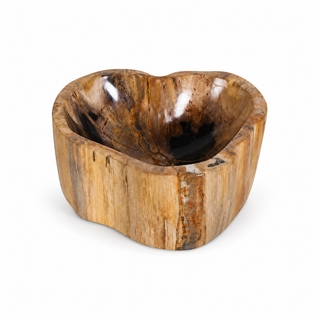 Kiena Petrified Wood Bowl