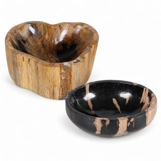 Kiena Petrified Wood Bowl