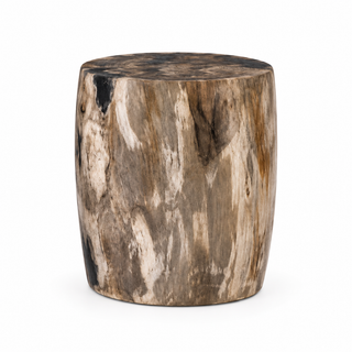 Petrified Wood Stool