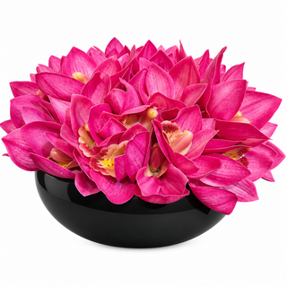 Pink Cymbidium Small Black Ceramic Bowl Arrangement