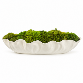 Moss Coastline Trough Arrangement