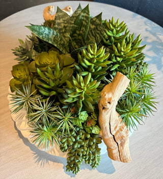 Succulent White Bowl Arrangement