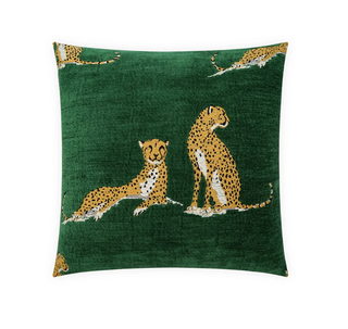 DV 24x24 Pillow