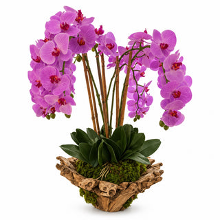 Pink Orchid Wood Bowl Arrangement