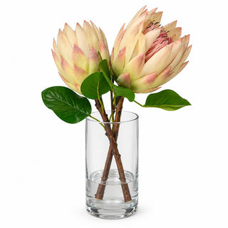 Protea Glass Cylinder Vase Arrangement