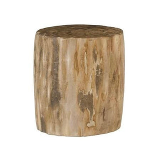 Petrified Wood Stool