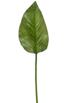 24" Small Calla Lily Leaf