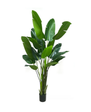 Faux Birds of Paradise Plant