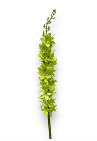 23" Foxtail Lily Stem