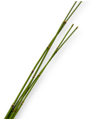 32" Bamboo Stick x6