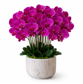 Purple Orchid Wood Bowl Arrangement