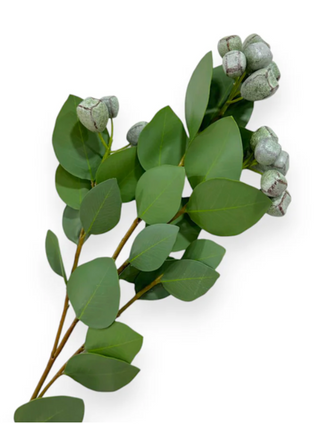 29" Eucalyptus Spray with Fruit