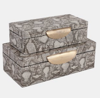 Shimmer Snakeskin Boxes