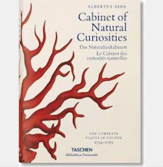 Cabinet of Natural Curiosities Book