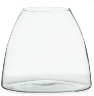 Terranium Glass Dome