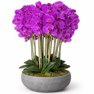 Purple Orchid Black Bowl Arrangement