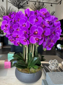 Purple Orchid Black Bowl Arrangement