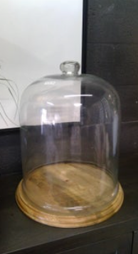 Glass dome