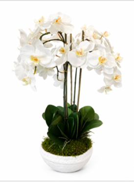 23” Orchid Arrangement
