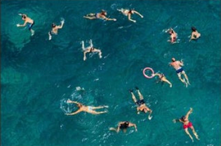 61.75x41.75 Blue Water Swim Artwork