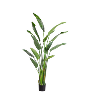 Faux Birds of Paradise Plant