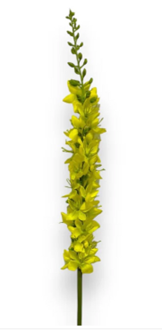 23" Foxtail Lily Stem