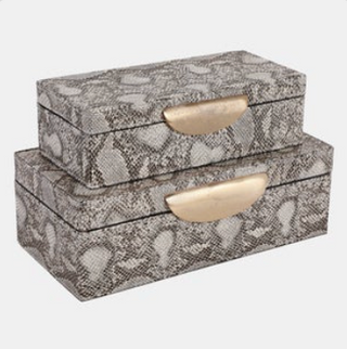 Shimmer Snakeskin Boxes