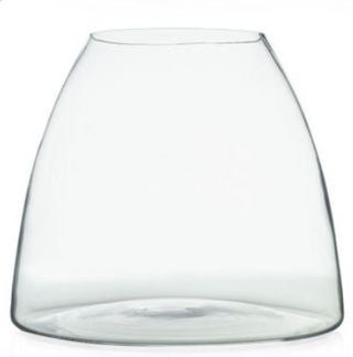 Terranium Glass Dome